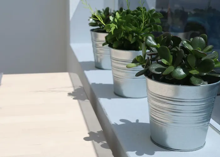 Lejlighed Daniela Puerto del Carmen (Lanzarote)